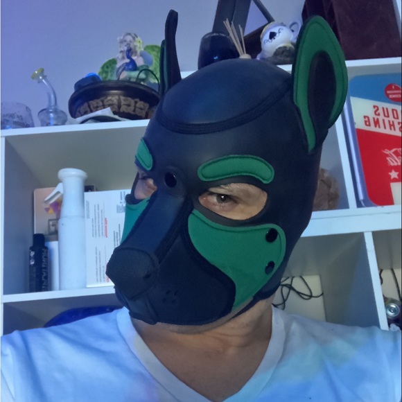 Meet your Posher, Maximilian - Picture 7 of 8